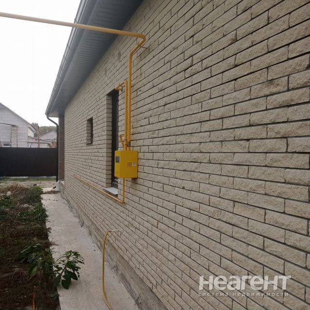 Фотография №3