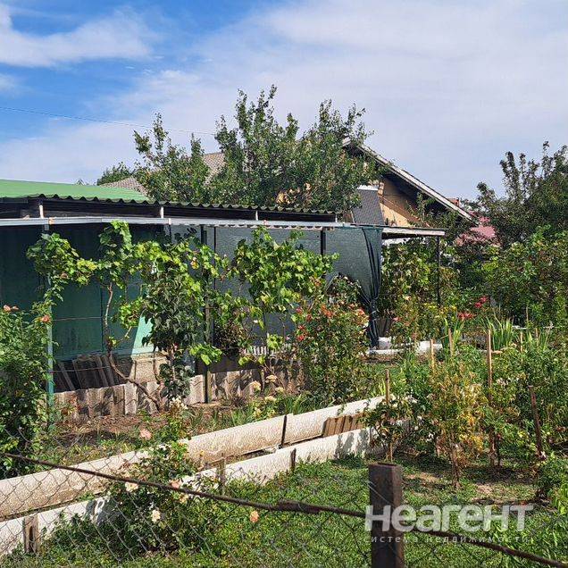 Фотография №3