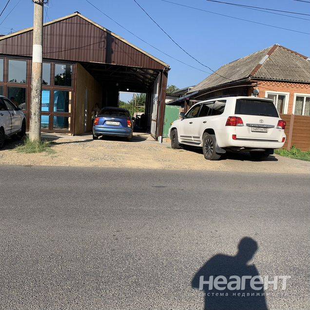 Фотография №2