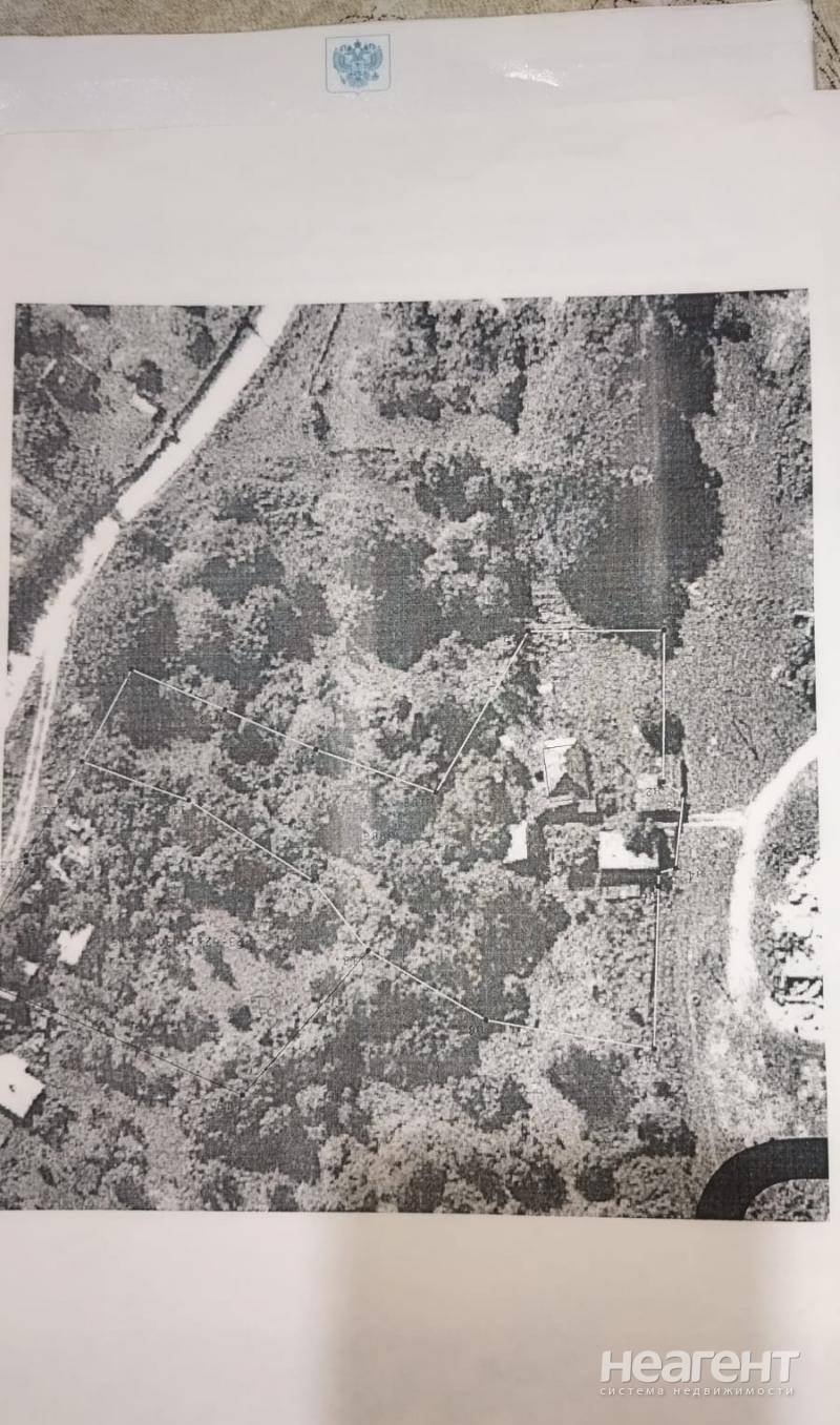 Фотография №5