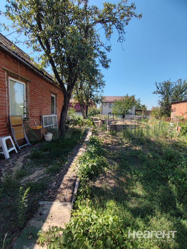 Фотография №2