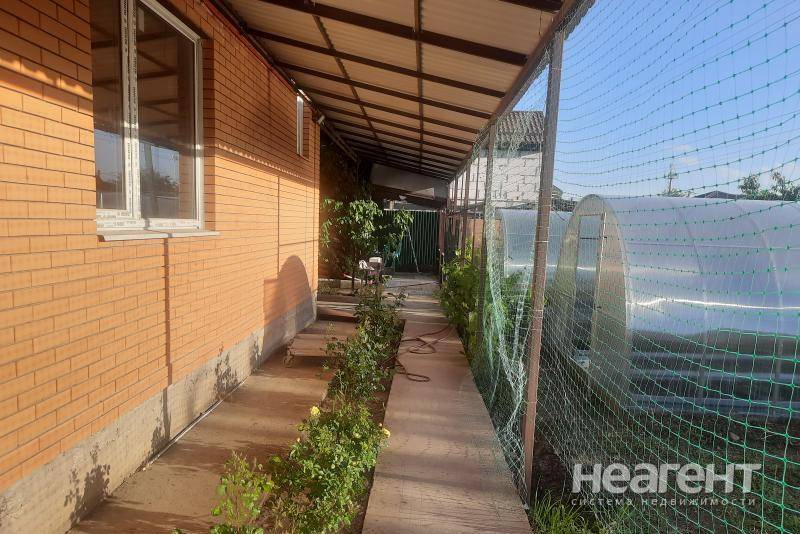 Фотография №3