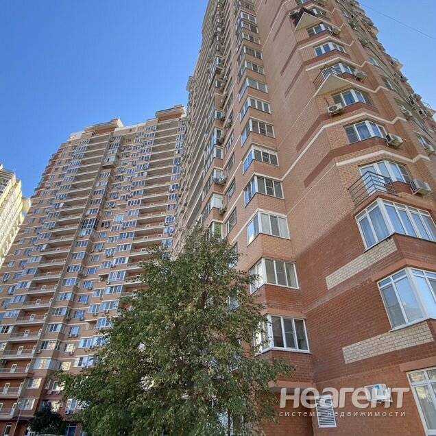 Фотография №2