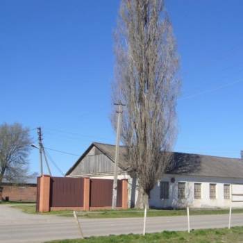 Продается Нежилое помещение, 943 м²