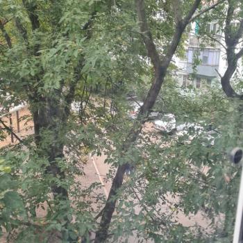 Сдается 2-х комнатная квартира, 44 м²