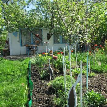 Продается Участок, 500 м²