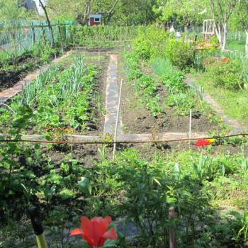 Продается Участок, 500 м²