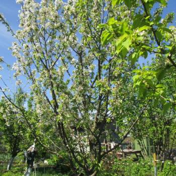 Продается Участок, 500 м²