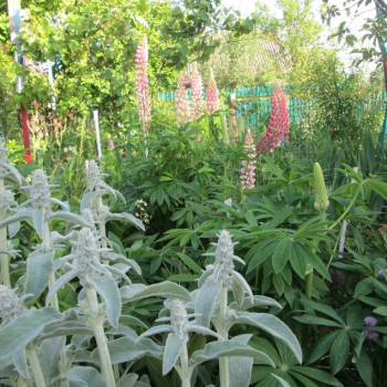 Продается Участок, 500 м²