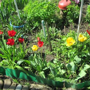 Продается Участок, 500 м²