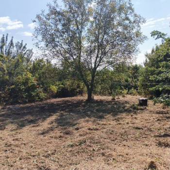 Продается Дом, 24 м²