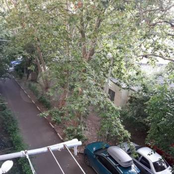 Продается 3-х комнатная квартира, 55,6 м²