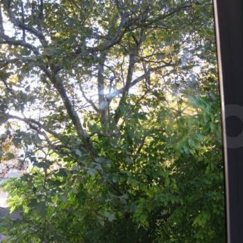 Продается 3-х комнатная квартира, 55,6 м²