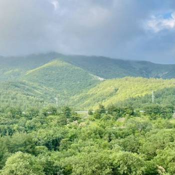 Продается 1-комнатная квартира, 38,5 м²