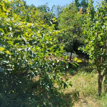 Продается Дом, 33 м²