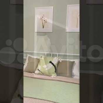 Сдается 1-комнатная квартира, 25,6 м²