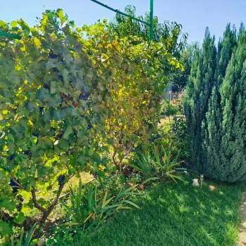 Продается Дом, 35 м²