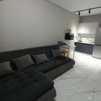 Сдается 1-комнатная квартира, 31,47 м²