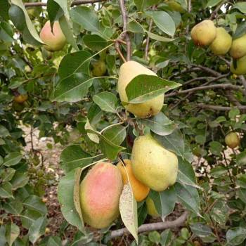 Продается Дом, 30 м²