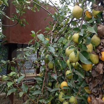 Продается Дом, 30 м²