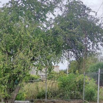 Продается Участок, 800 м²