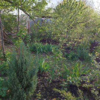 Продается Участок, 600 м²