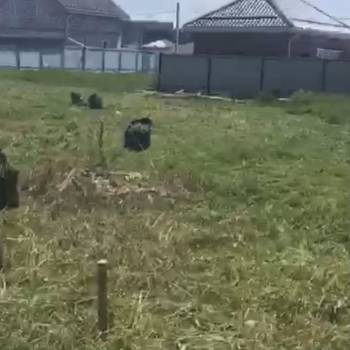 Продается Участок, 490 м²