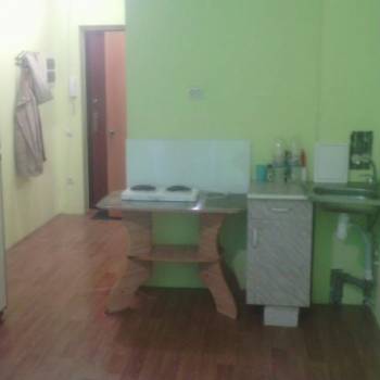 Продается 1-комнатная квартира, 22,8 м²