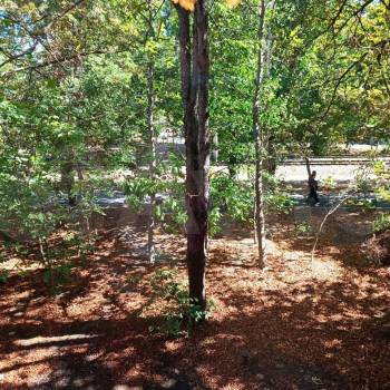 Продается 2-х комнатная квартира, 42,3 м²