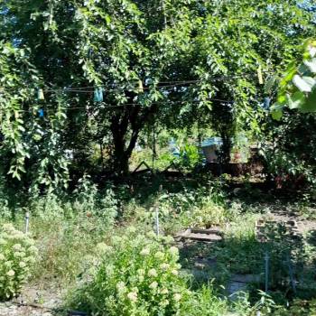 Продается Участок, 600 м²