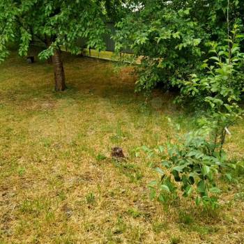 Продается Участок, 500 м²