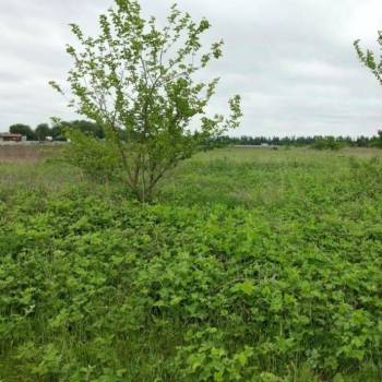 Продается Участок, 1000 м²