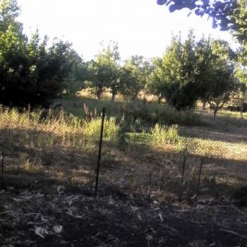 Продается Дом, 26 м²