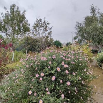 Продается Дом, 200 м²