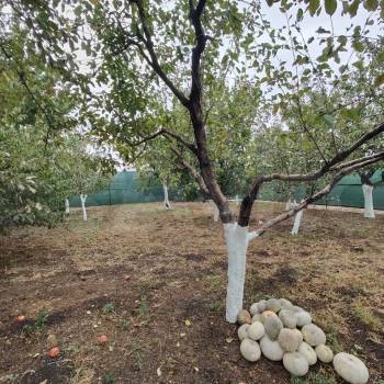 Продается Дом, 200 м²