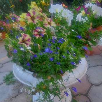 Сдается Комната, 18 м²