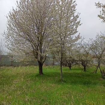 Продается Участок, 600 м²