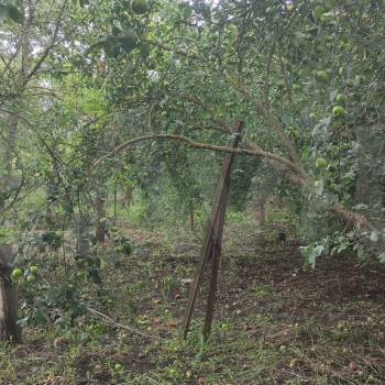 Продается Дом, 25 м²