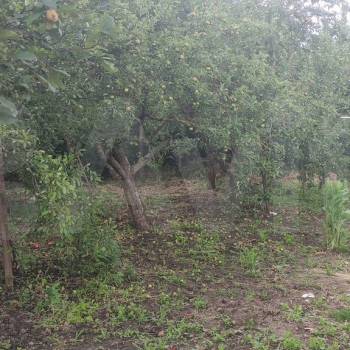 Продается Дом, 25 м²