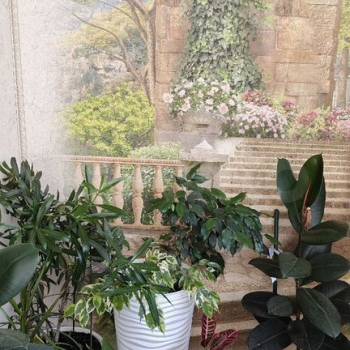 Сдается Многокомнатная квартира, 78 м²