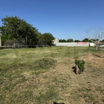 Продается Участок, 11100 м²