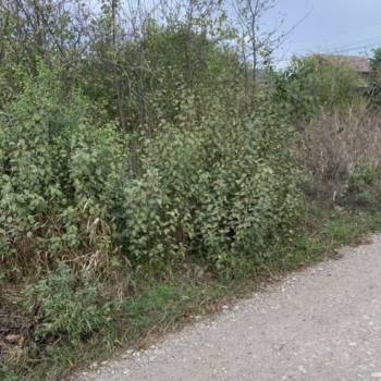 Продается Участок, 610 м²