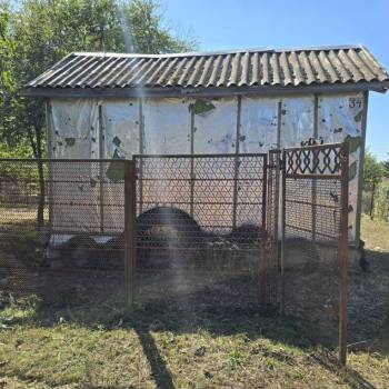 Продается Участок, 390 м²