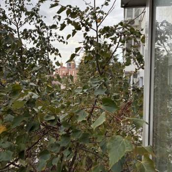 Продается 1-комнатная квартира, 34,8 м²