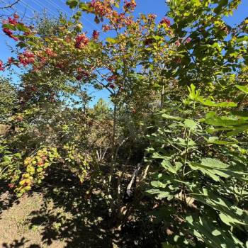 Продается Дом, 10 м²