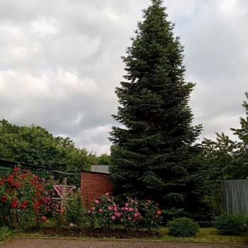 Продается Дом, 60 м²