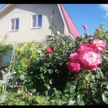 Продается Дом, 147 м²