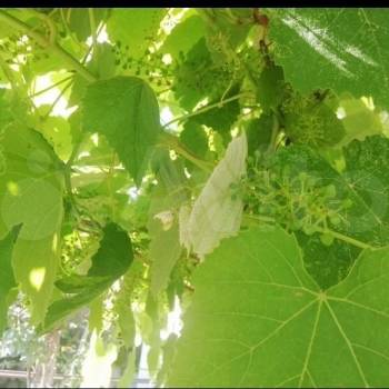 Продается Дом, 147 м²