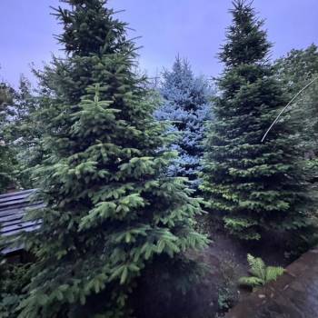 Продается Дом, 214 м²