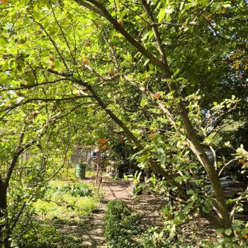 Продается Участок, 847 м²